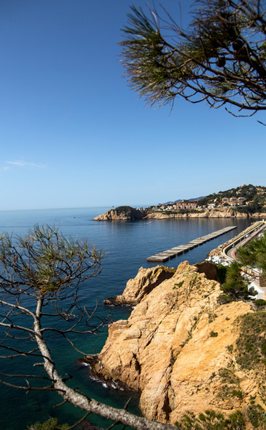 Brava Domus, agente inmobiliario en Sant Feliu de Guíxols, Santa Cristina de Aro y Platja d'Aro, en la Costa Brava